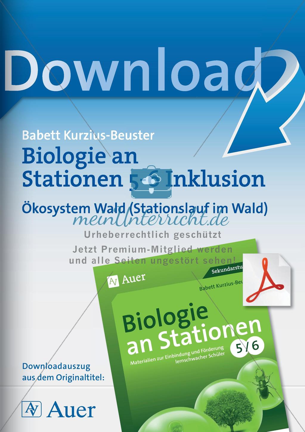 Stationslauf im Wald zum Thema