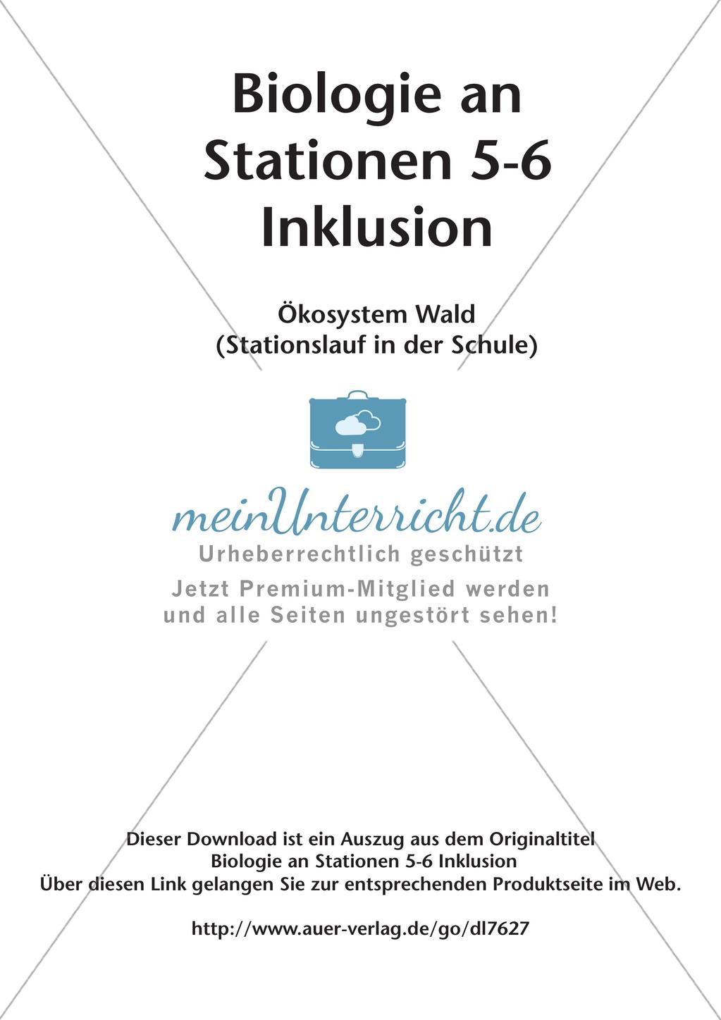 Stationsarbeit zum Thema