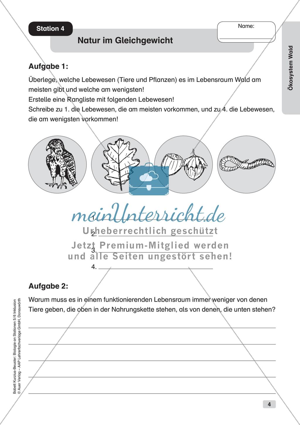 Stationsarbeit zum Thema