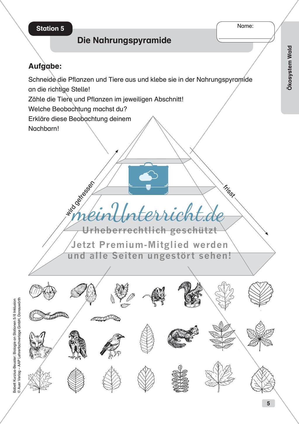 Stationsarbeit zum Thema