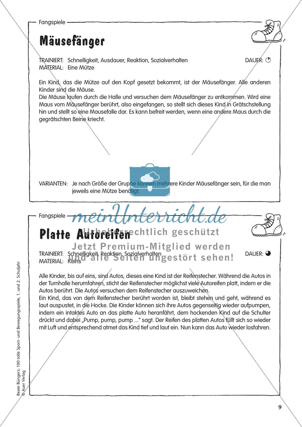 Fang- und Bewegungsspiele Preview 11