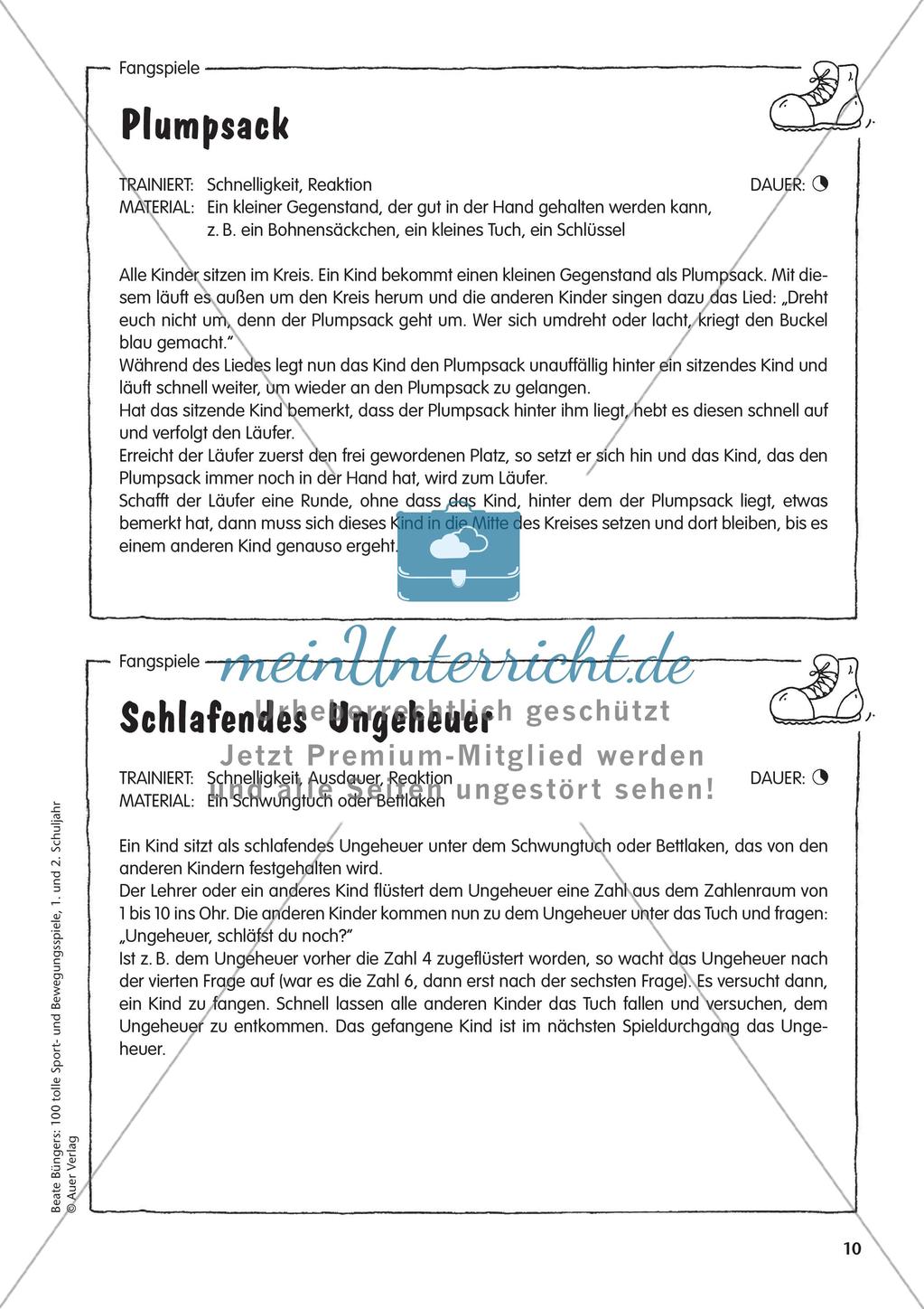 Fang- und Bewegungsspiele Preview 12