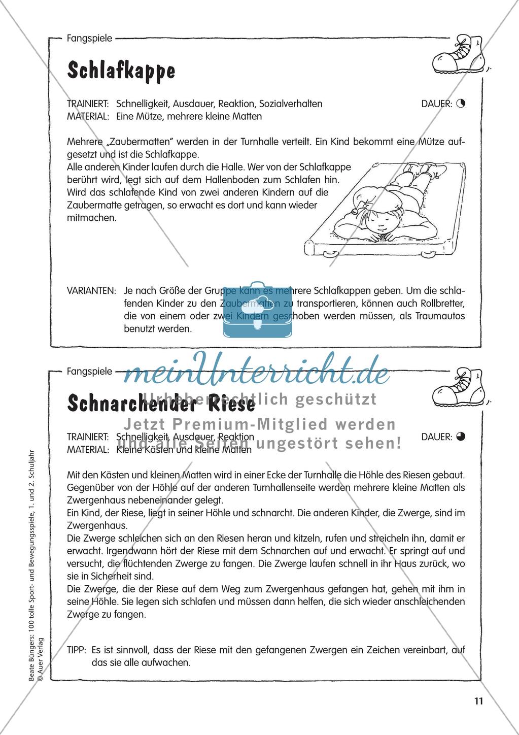 Fang- und Bewegungsspiele Preview 13