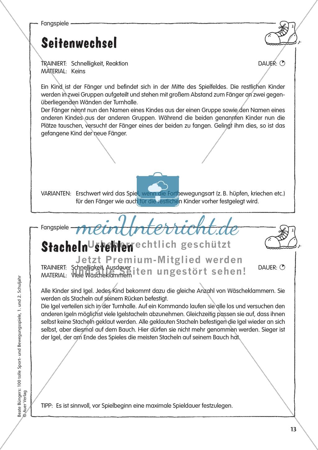 Fang- und Bewegungsspiele Preview 15