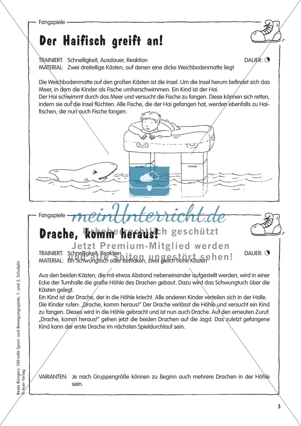 Fang- und Bewegungsspiele Preview 5