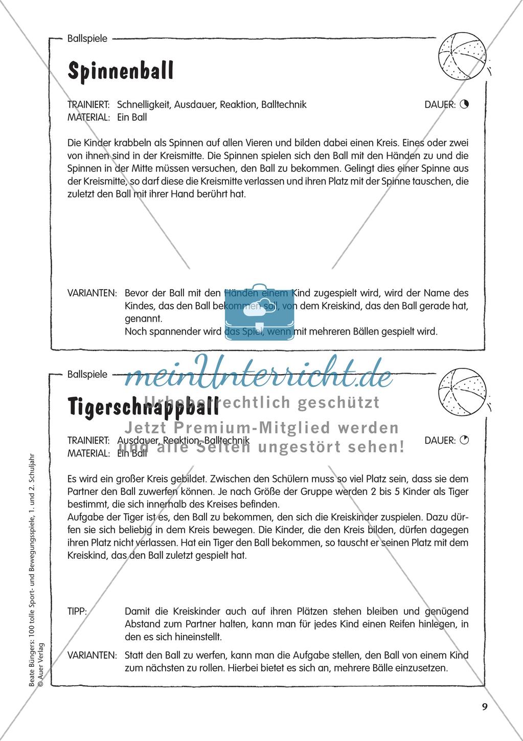 Ball- und Fangspiele Preview 11