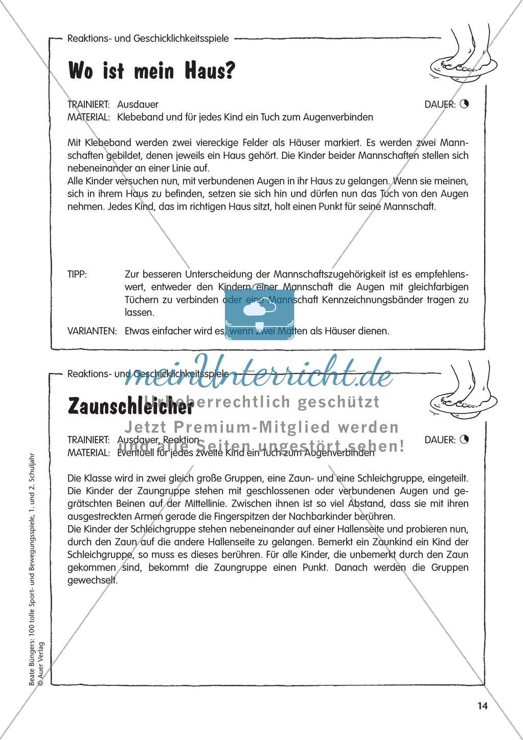 Reaktions- und Geschicklichkeitsspiele Preview 16