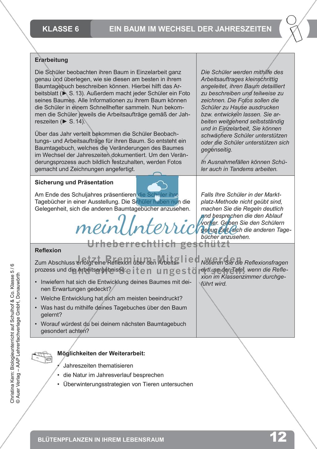 Biologieunterricht auf dem Schulhof - Blütenpflanzen in ihrem Lebensraum Preview 14