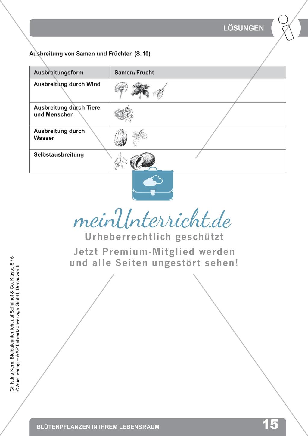 Biologieunterricht auf dem Schulhof - Blütenpflanzen in ihrem Lebensraum Preview 17