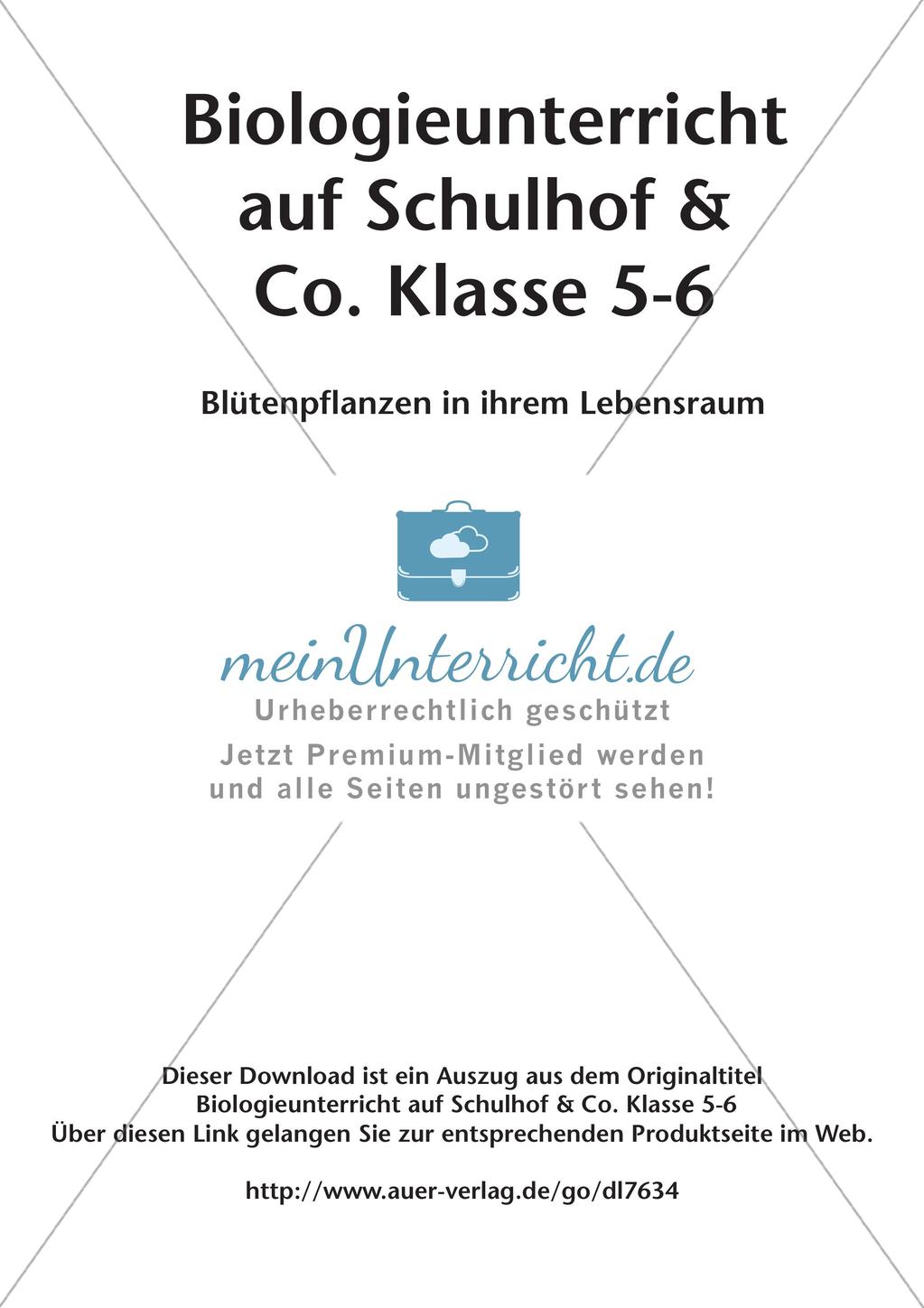 Biologieunterricht auf dem Schulhof - Blütenpflanzen in ihrem Lebensraum Preview 2
