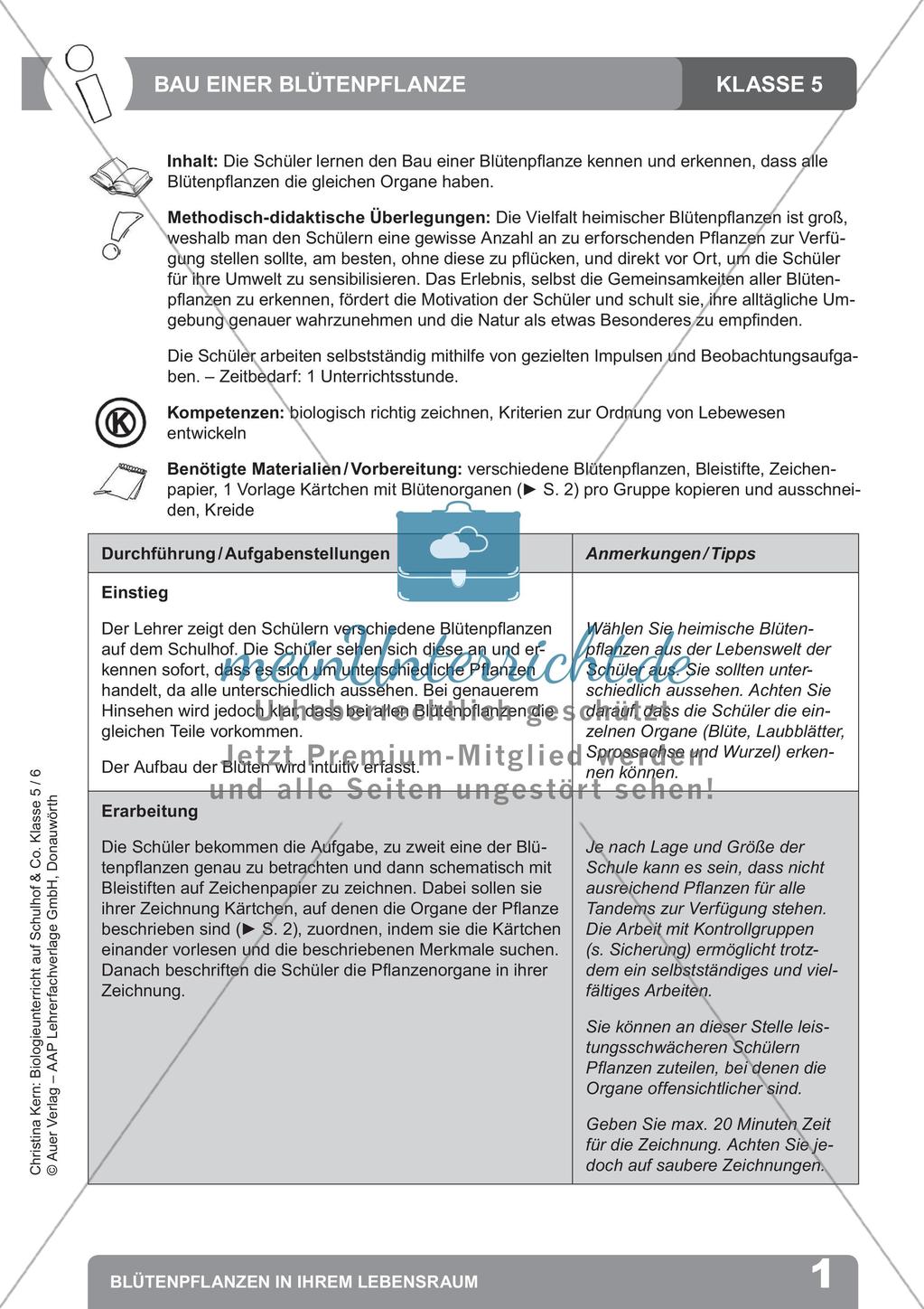 Biologieunterricht auf dem Schulhof - Blütenpflanzen in ihrem Lebensraum Preview 3