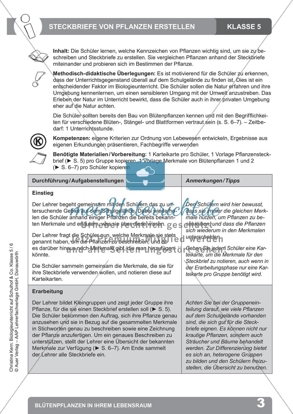 Biologieunterricht auf dem Schulhof - Blütenpflanzen in ihrem Lebensraum Preview 5