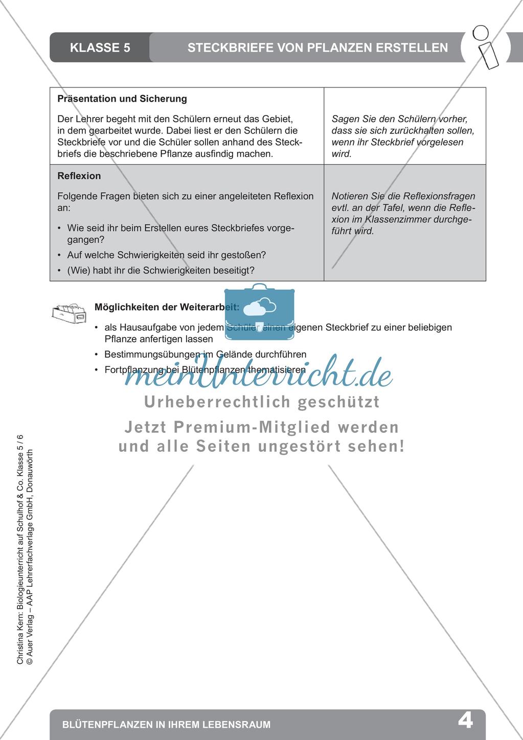 Biologieunterricht auf dem Schulhof - Blütenpflanzen in ihrem Lebensraum Preview 6