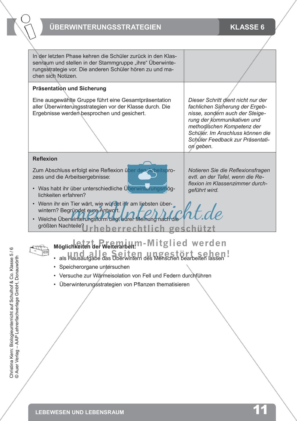 Biologieunterricht auf dem Schulhof - Lebewesen und Lebensraum Preview 13