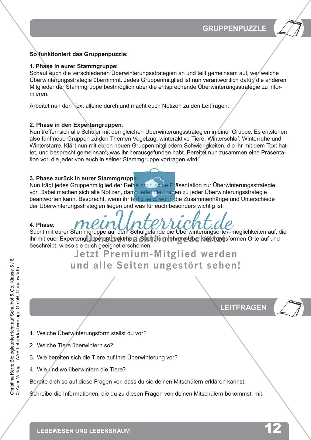 Biologieunterricht auf dem Schulhof - Lebewesen und Lebensraum Preview 14