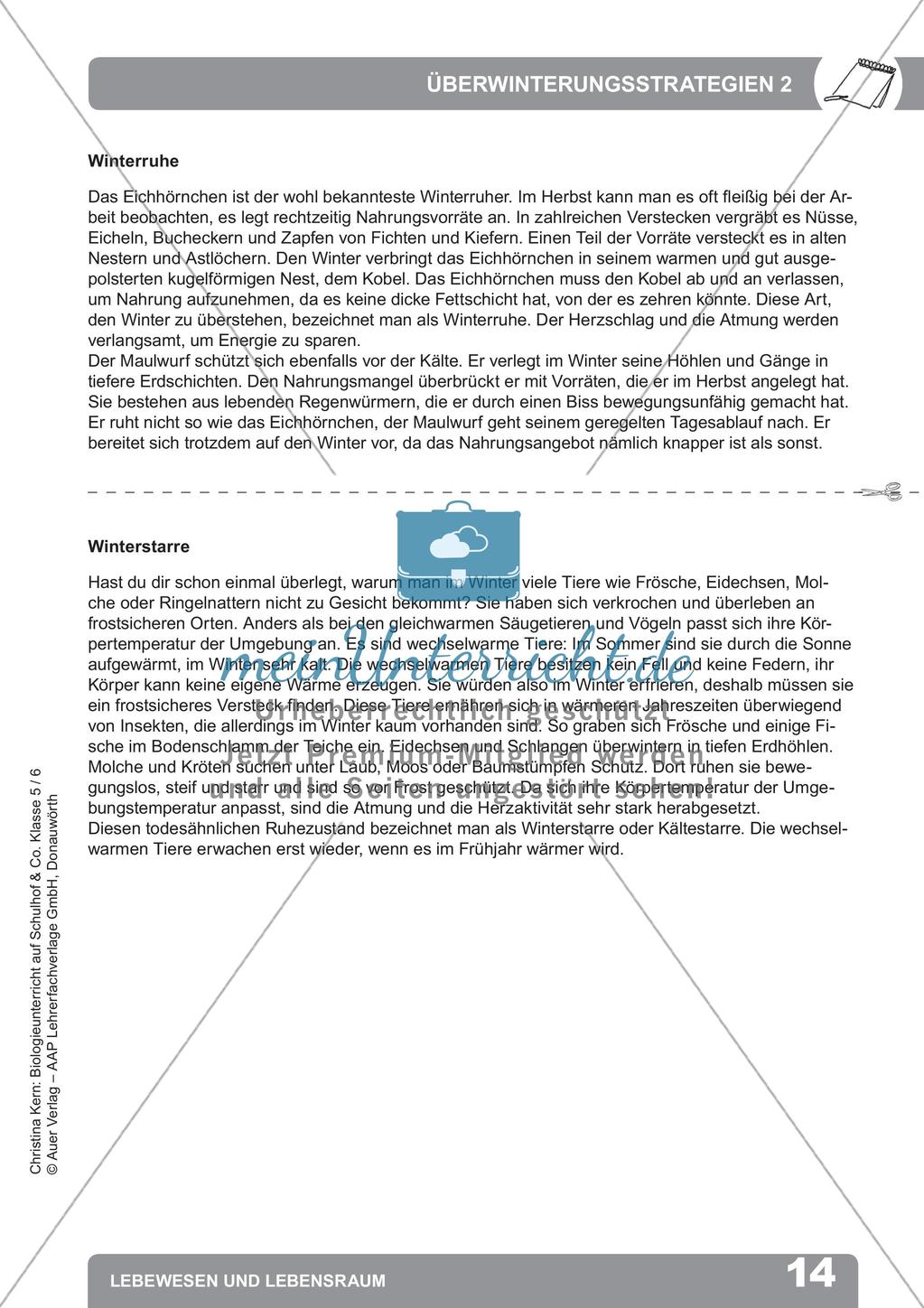Biologieunterricht auf dem Schulhof - Lebewesen und Lebensraum Preview 16