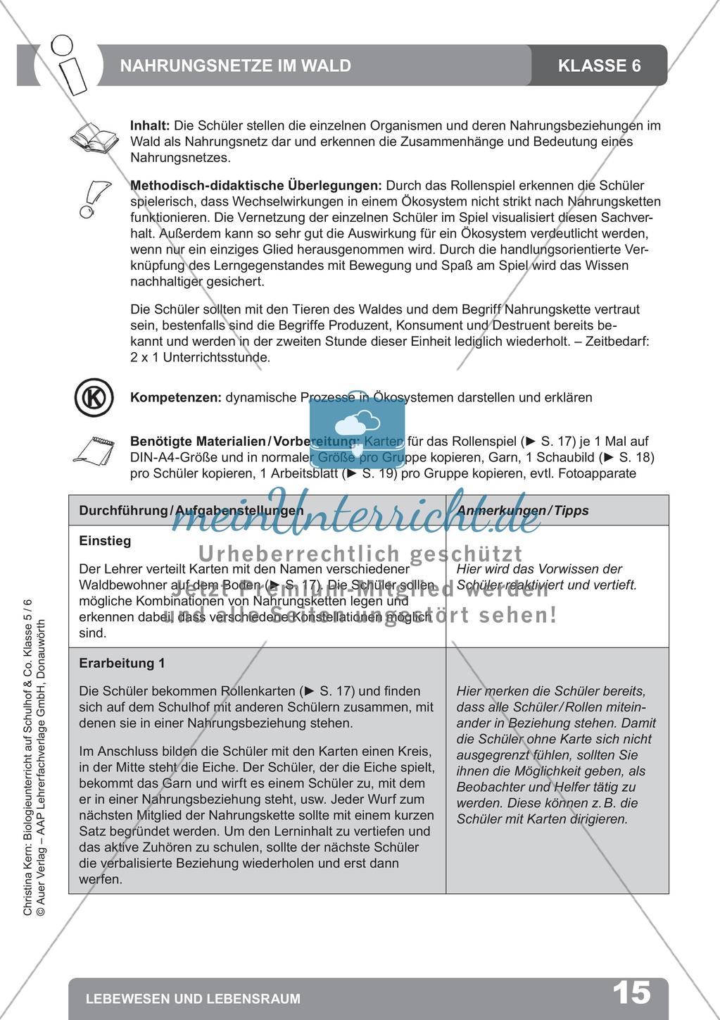 Biologieunterricht auf dem Schulhof - Lebewesen und Lebensraum Preview 17