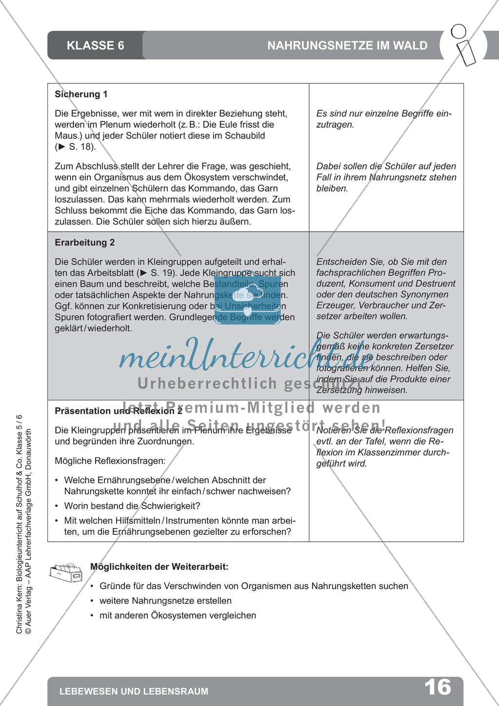 Biologieunterricht auf dem Schulhof - Lebewesen und Lebensraum Preview 18