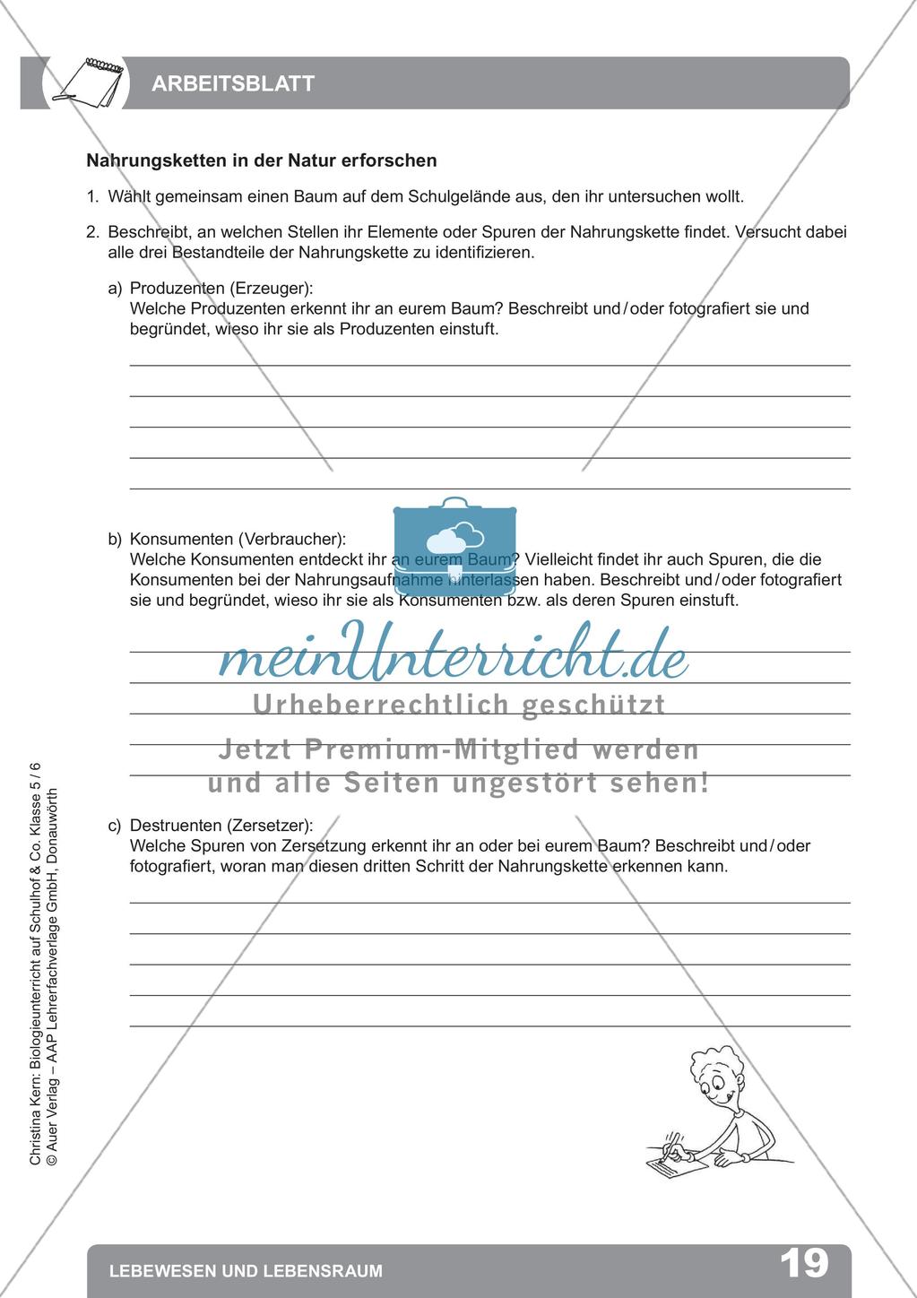 Biologieunterricht auf dem Schulhof - Lebewesen und Lebensraum Preview 21