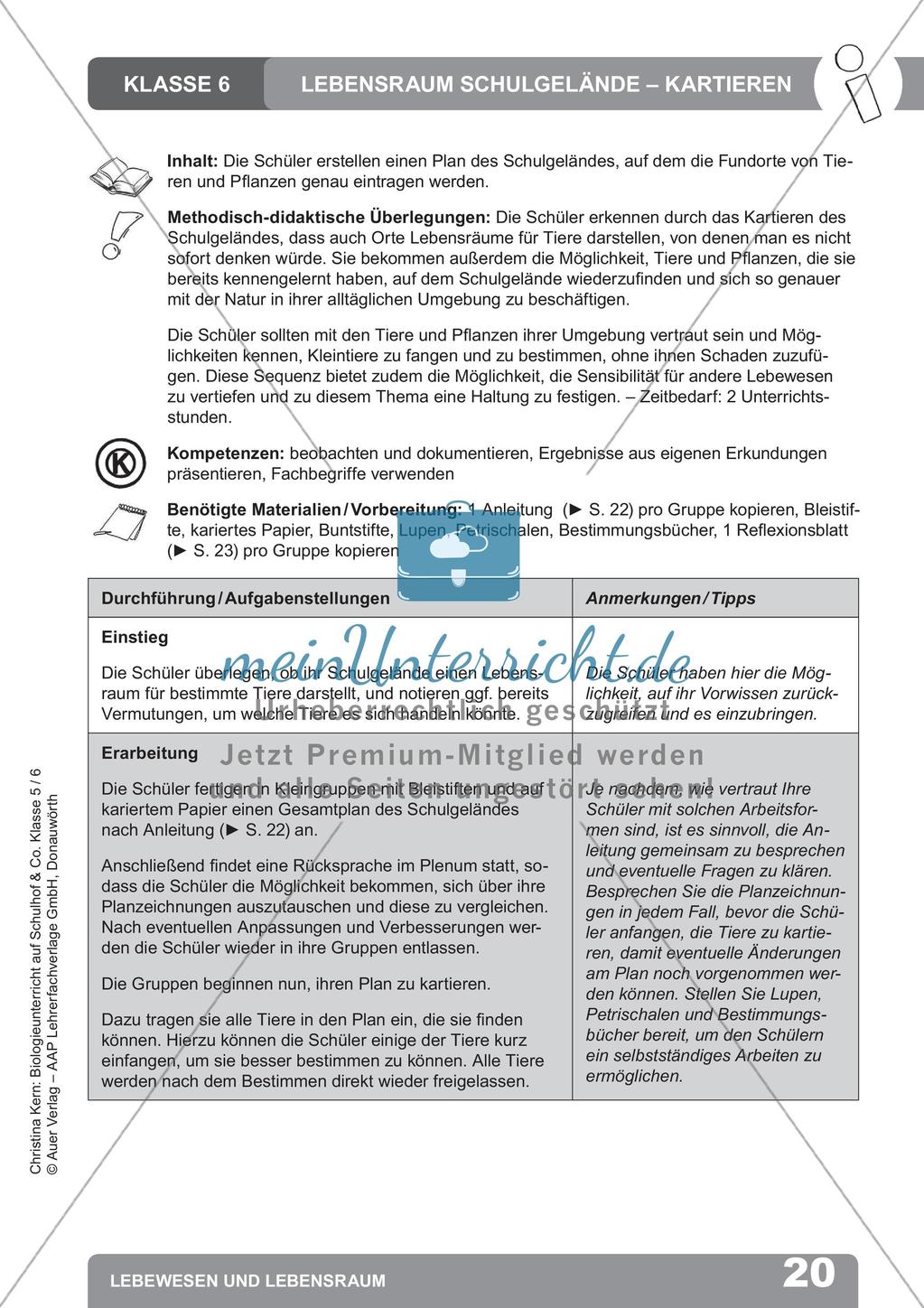 Biologieunterricht auf dem Schulhof - Lebewesen und Lebensraum Preview 22