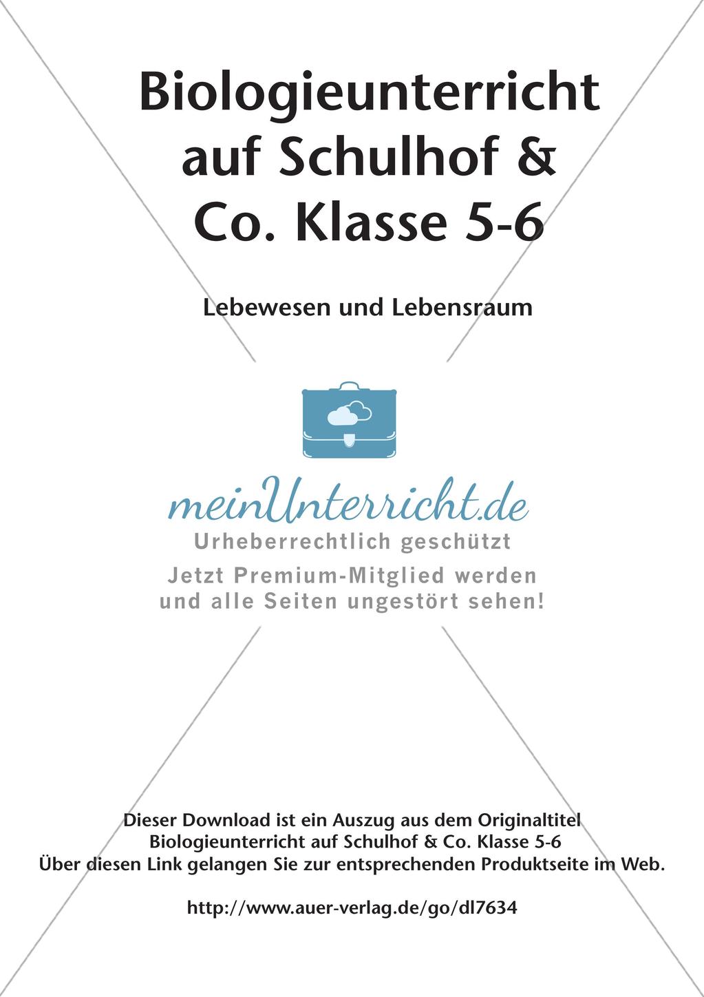 Biologieunterricht auf dem Schulhof - Lebewesen und Lebensraum Preview 2