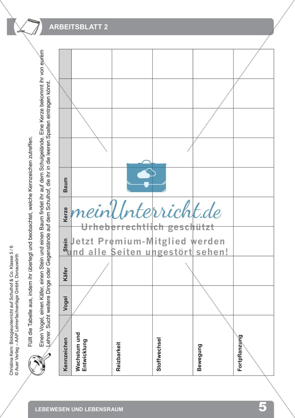 Biologieunterricht auf dem Schulhof - Lebewesen und Lebensraum Preview 7