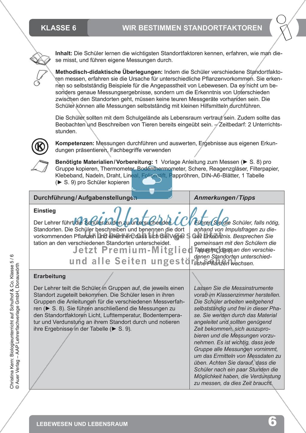 Biologieunterricht auf dem Schulhof - Lebewesen und Lebensraum Preview 8
