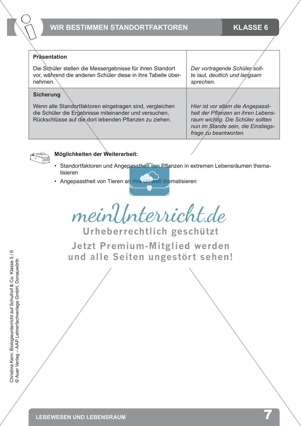 Biologieunterricht auf dem Schulhof - Lebewesen und Lebensraum Preview 9