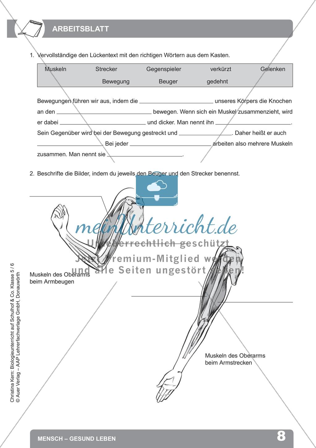 Biologieunterricht auf dem Schulhof - Mensch: Gesund leben Preview 10