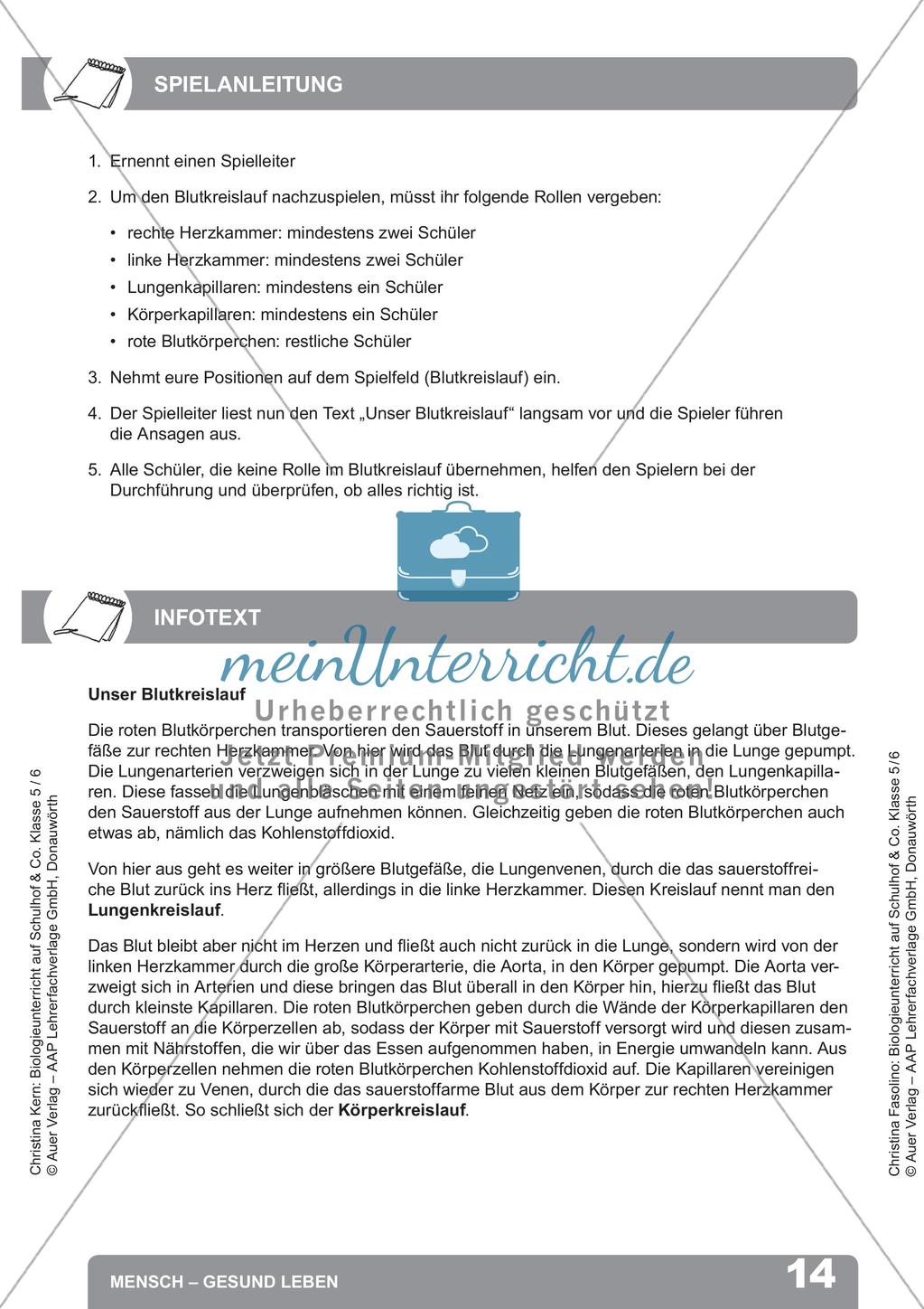 Biologieunterricht auf dem Schulhof - Mensch: Gesund leben Preview 16