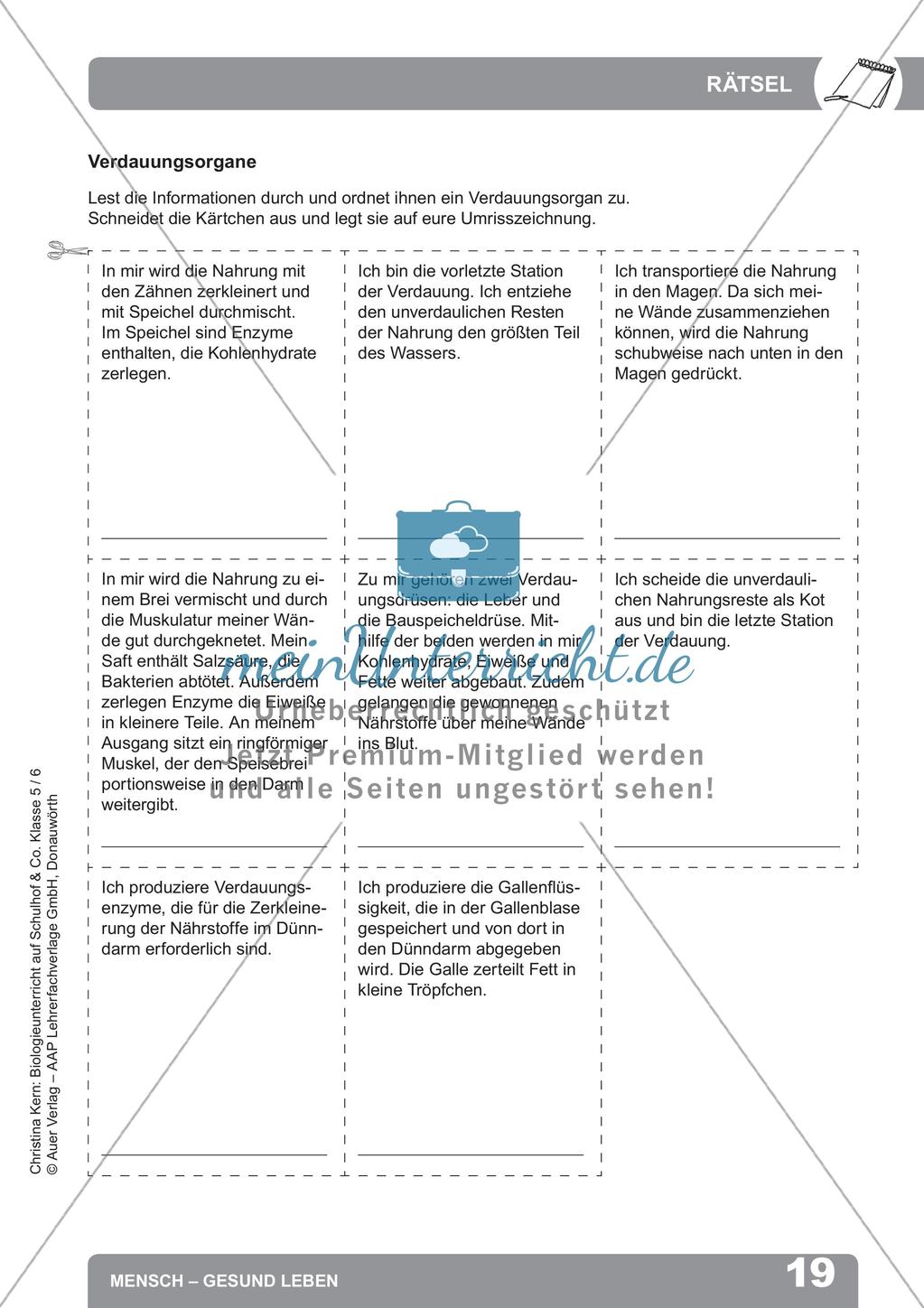 Biologieunterricht auf dem Schulhof - Mensch: Gesund leben Preview 21