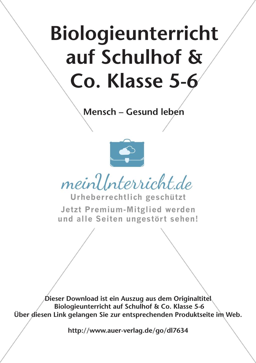 Biologieunterricht auf dem Schulhof - Mensch: Gesund leben Preview 2