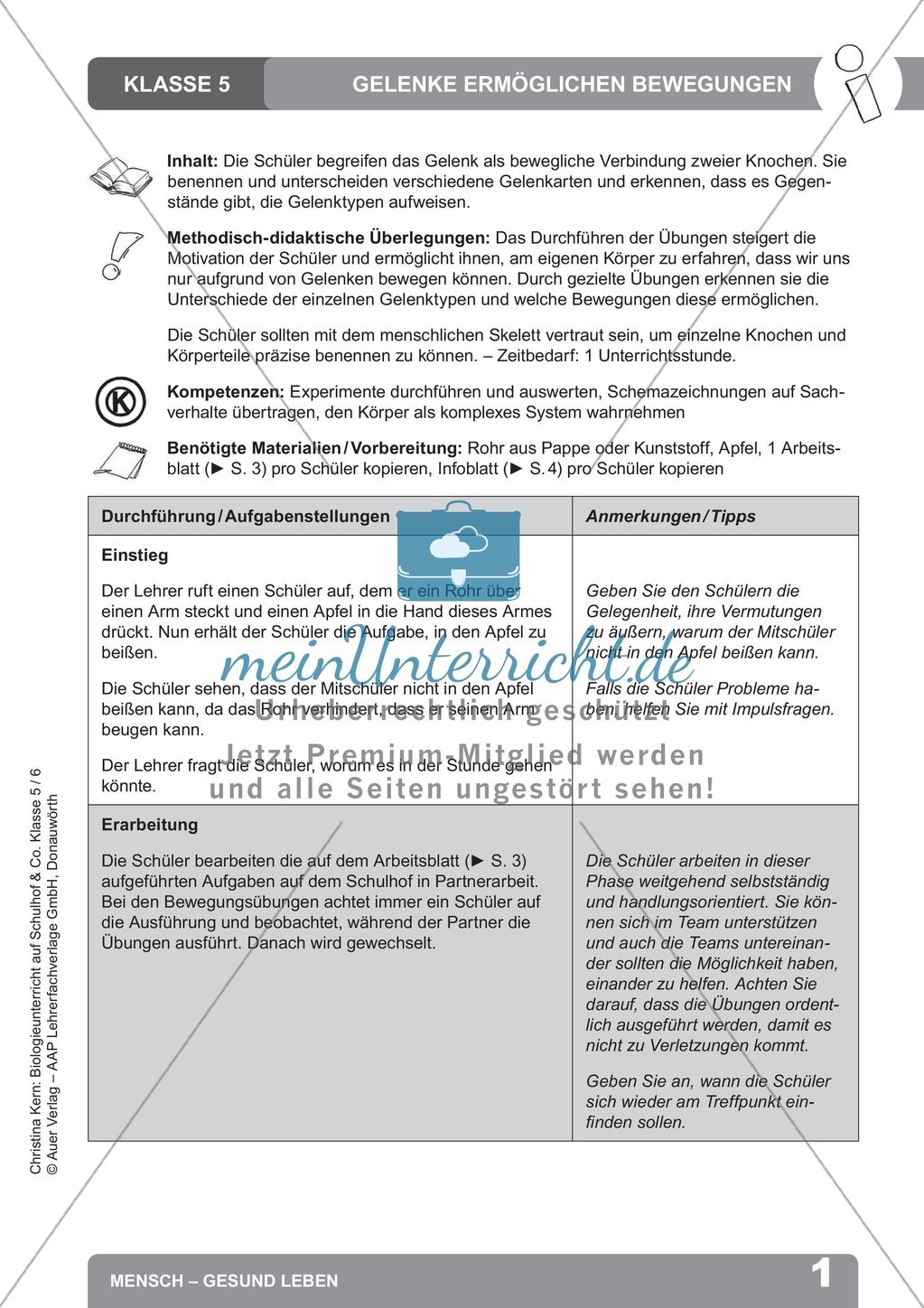 Biologieunterricht auf dem Schulhof - Mensch: Gesund leben Preview 3
