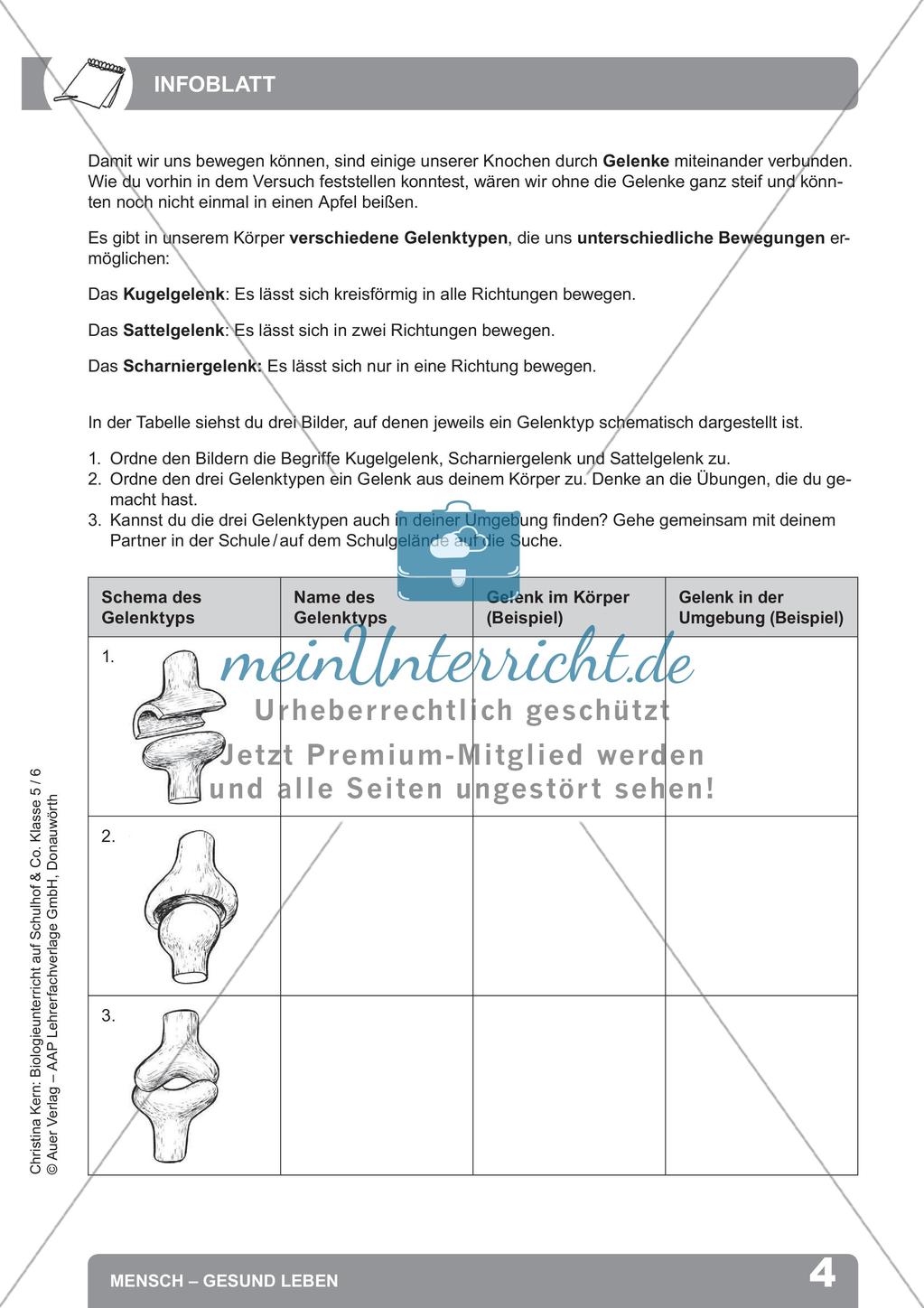 Biologieunterricht auf dem Schulhof - Mensch: Gesund leben Preview 6