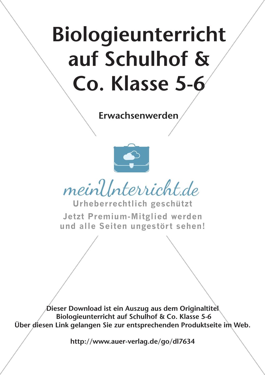Biologieunterricht auf dem Schulhof - Erwachsenwerden Preview 2
