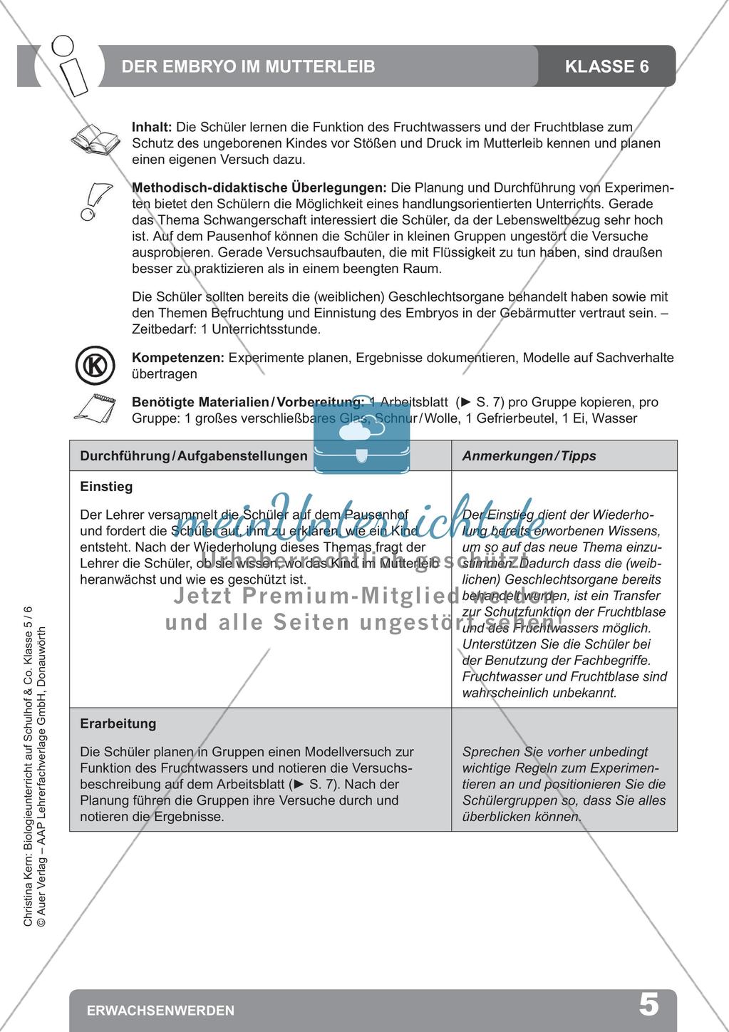 Biologieunterricht auf dem Schulhof - Erwachsenwerden Preview 7