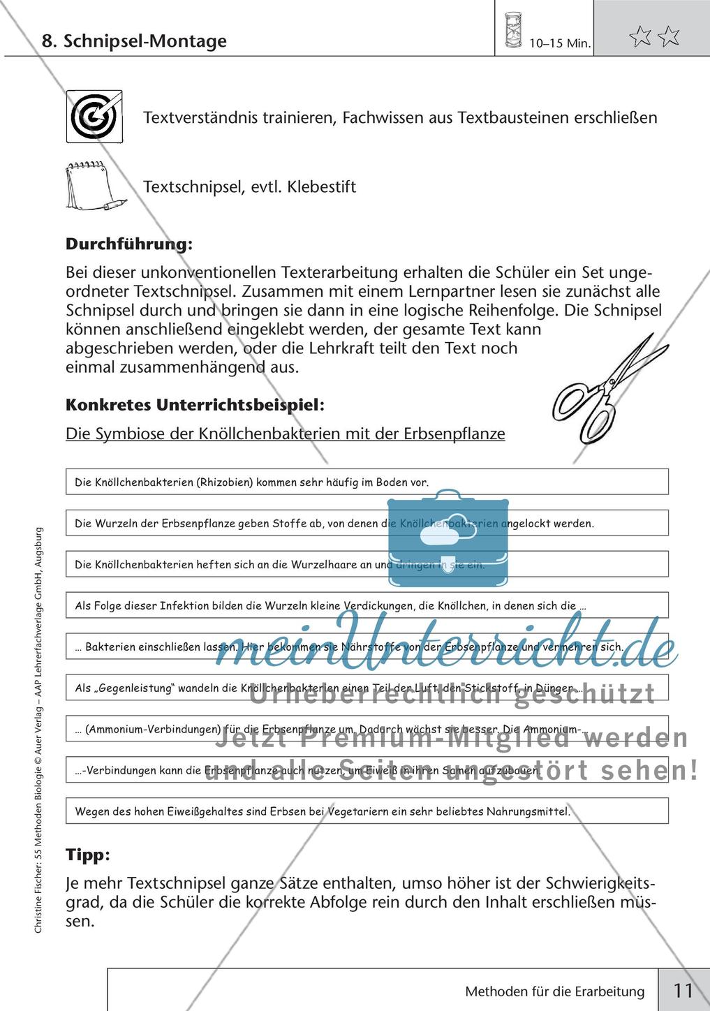 Methoden Biologie: Erarbeitung Preview 13