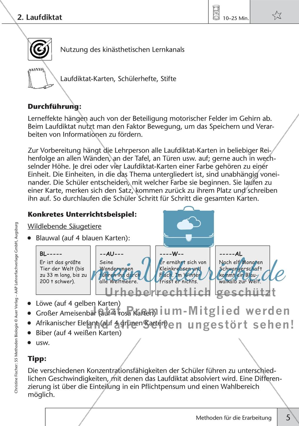 Methoden Biologie: Erarbeitung Preview 7