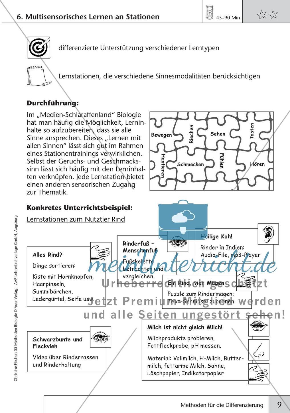 Methoden Biologie: Differenzierung Preview 11