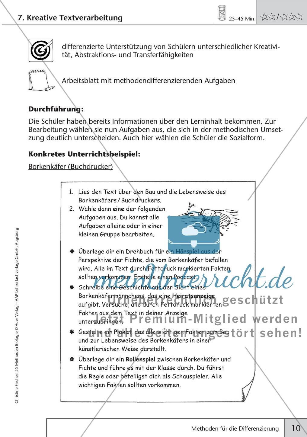 Methoden Biologie: Differenzierung Preview 12