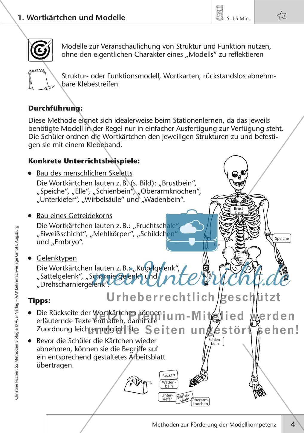 Methoden Biologie: Förderung der Modellkompetenz Preview 6