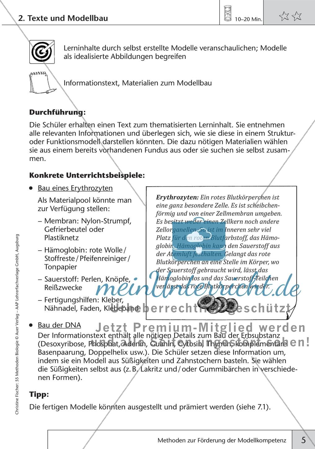 Methoden Biologie: Förderung der Modellkompetenz Preview 7