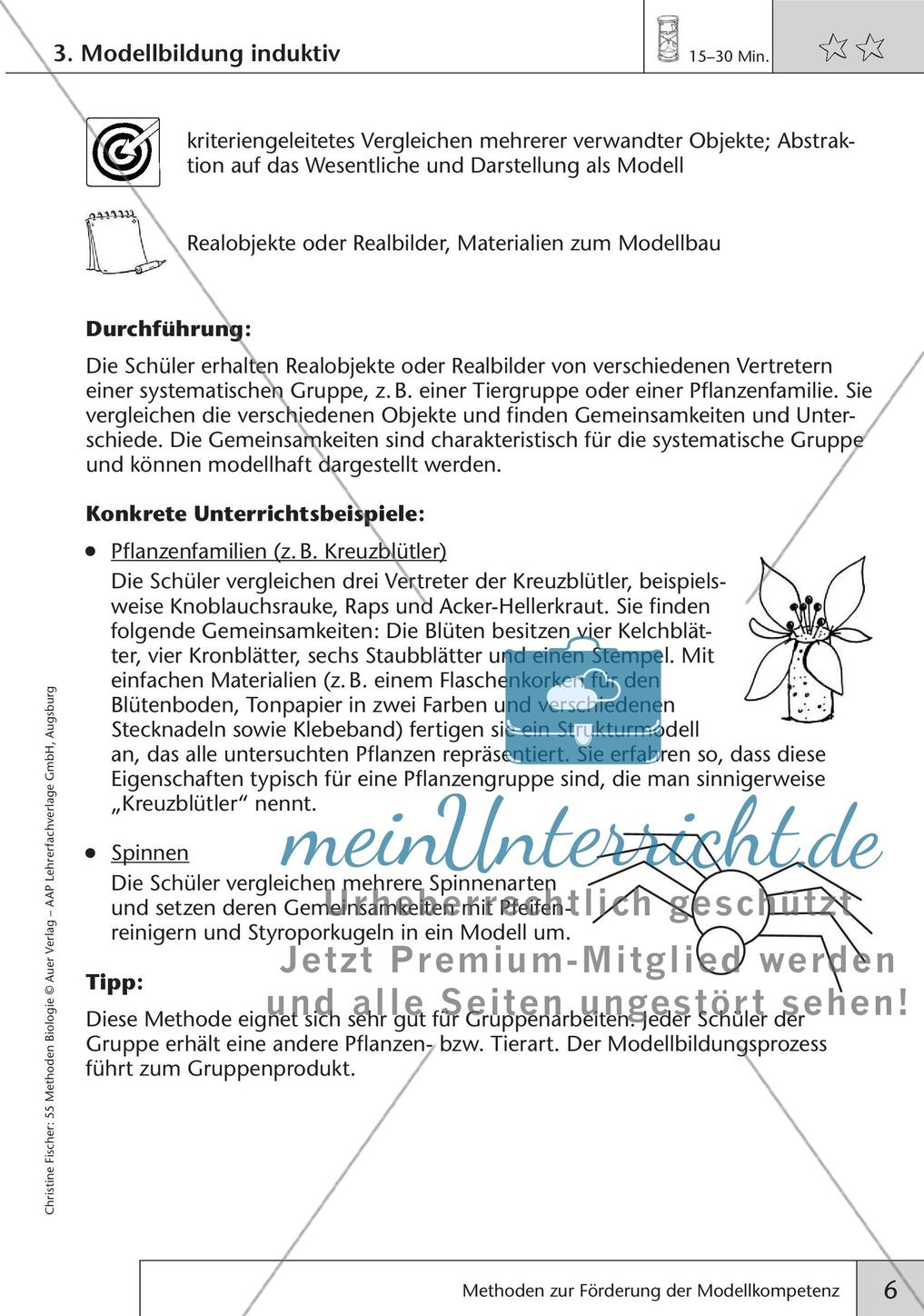 Methoden Biologie: Förderung der Modellkompetenz Preview 8