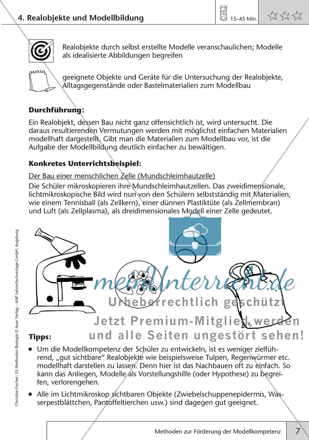 Methoden Biologie: Förderung der Modellkompetenz Preview 9