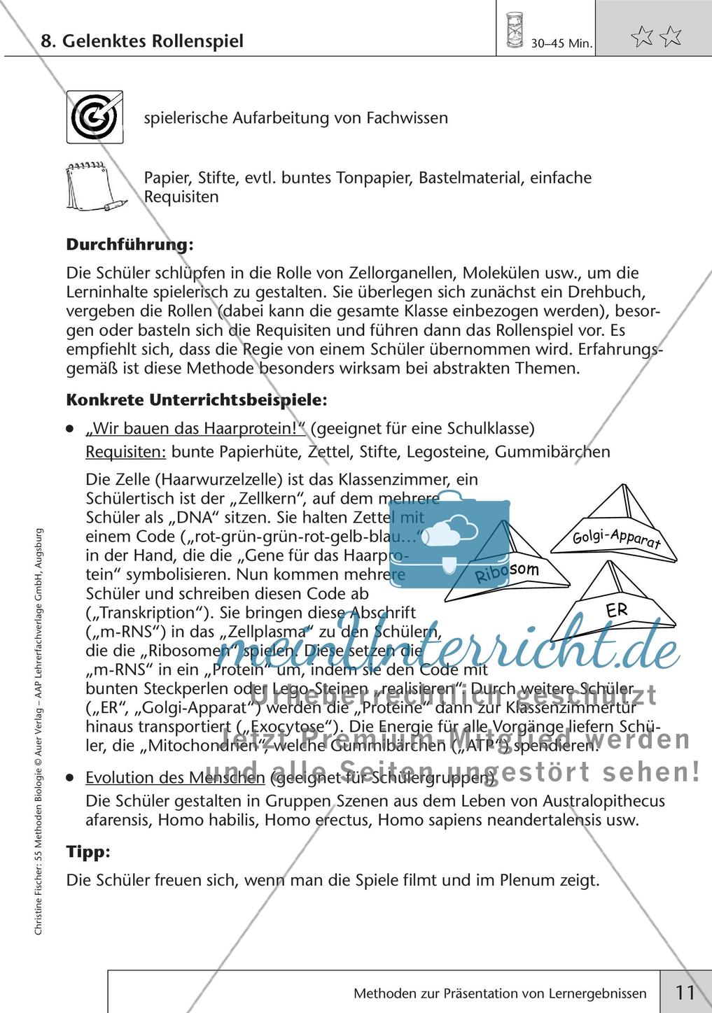 Methoden Biologie: Präsentation von Lernergebnissen Preview 13