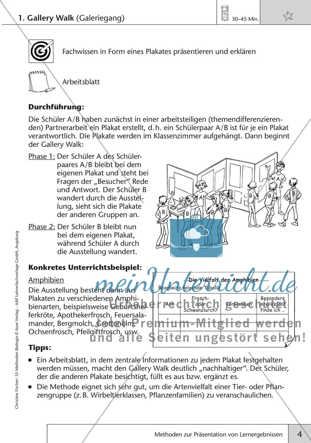 Methoden Biologie: Präsentation von Lernergebnissen Preview 6