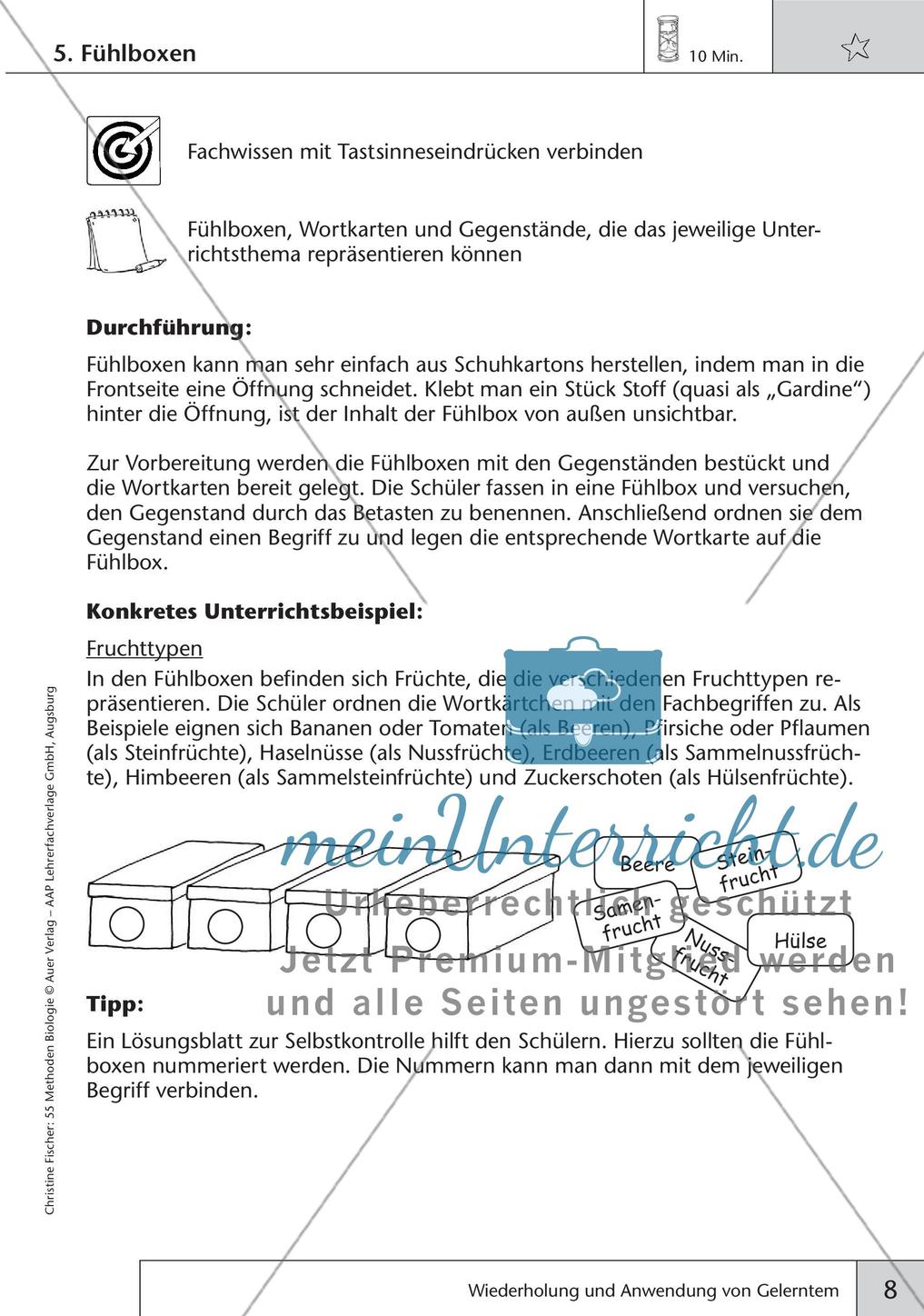 Methoden Biologie: Wiederholung und Anwendung von Gelerntem Preview 10