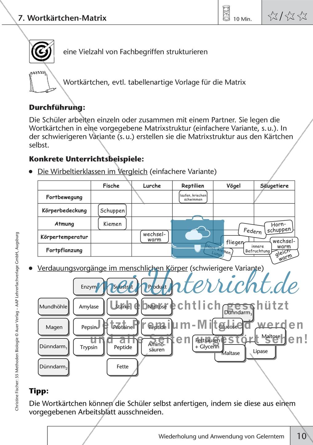 Methoden Biologie: Wiederholung und Anwendung von Gelerntem Preview 12