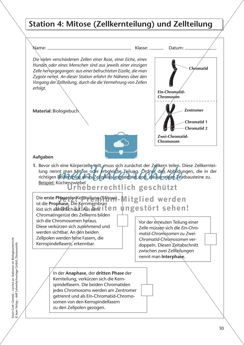 Genetik an Stationen: Grundlagen der Genetik Preview 12