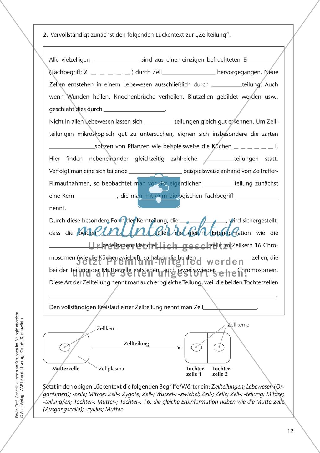 Genetik an Stationen: Grundlagen der Genetik Preview 14